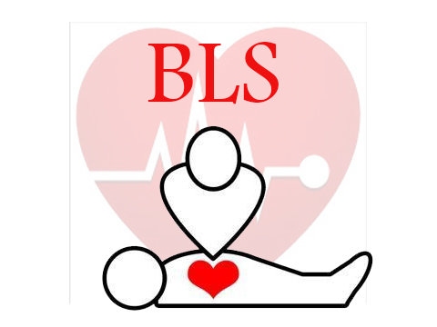 bls