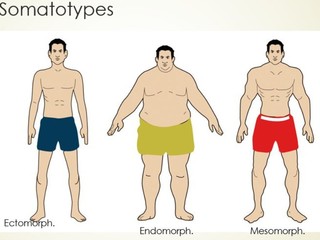 تشخیص انواع تیپ های بدنی و برنامه های ورزشی 