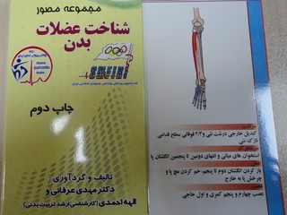 فلش کارت شناخت عضلات بدن-کرمان