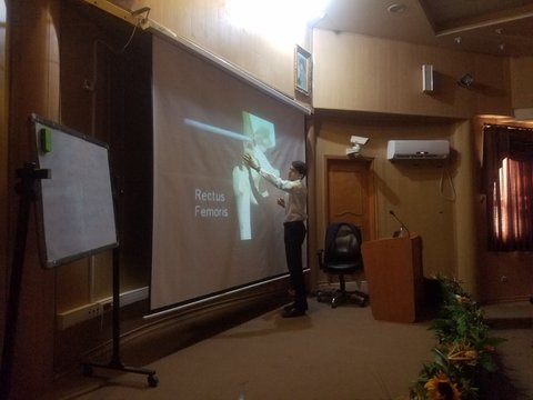 اناتومی زانو