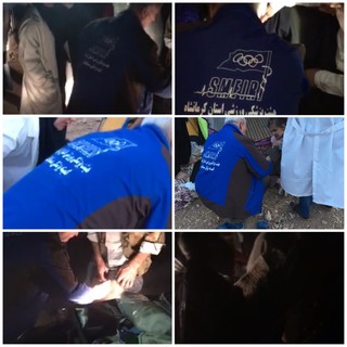 گزارش تصویری (1) / خدمات رسانی اکیپ پزشکی و ورزشکاران و قهرمانان 