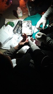 گزارش تصویری (2) / ارائه خدمات پزشکی ورزشی با همراهی قهرمانان و ورزشکاران