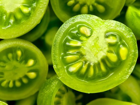 گوجه فرنگی سبز آنابولیک