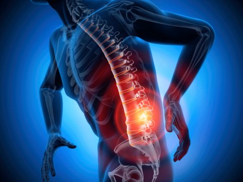 ستون مهره ها