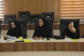 گردهمایی کمیته های خدمات درمانی بوشهر