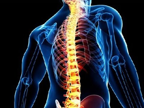 ناهنجاری های ستون مهره ها-کرمان