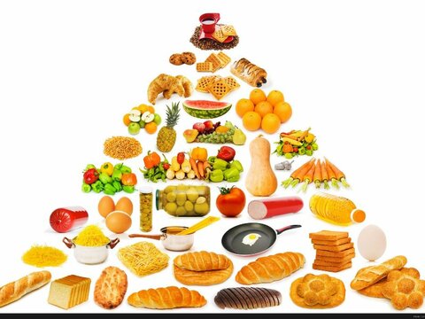 تغذیه ورزشی - چهار محال وبختیاری