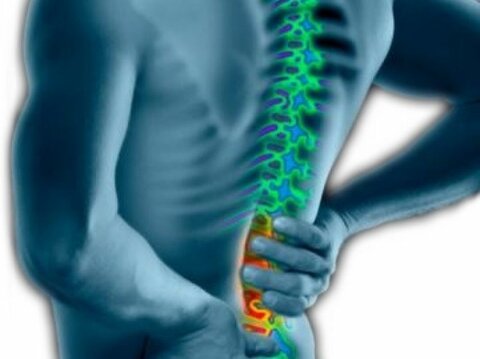 دوره حرکات اصلاحی - چهارمحال وبختیاری