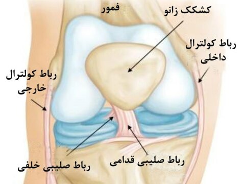 مرکزی