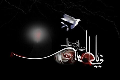 پیام تسلیت دکتر سودابه وحدت