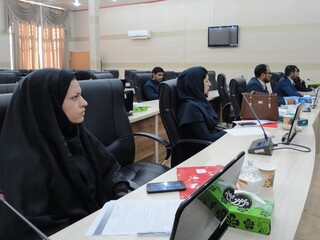 کارگاه آموزشی مسئولین کمیته خدمات درمانی-کرمان