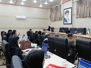 کارگاه آموزشی مسئولین کمیته خدمات درمانی-کرمان