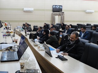 کارگاه آموزشی مسئولین کمیته خدمات درمانی-کرمان