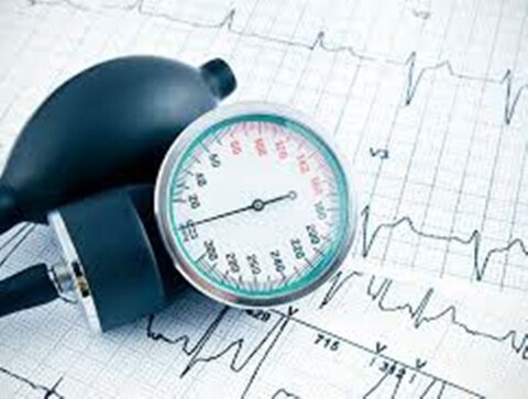 کارگاه آموزشی حرکات مناسب برای افراد فشار خون بالا - چهار محال وبختیاری