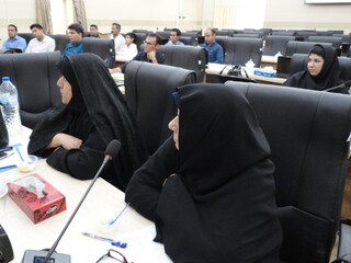 نشست سالیانه کمیته خدمات درمانی- کرمان