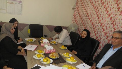 نشست کمیته های - چهار محال وبختیاری