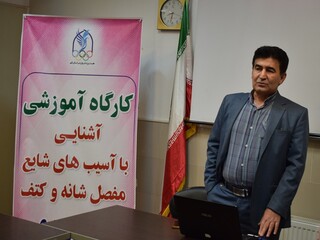 /گزارش تصویری/