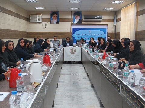 چهارمین نشست نواب رئیس هیات های ورزشی هرمزگان