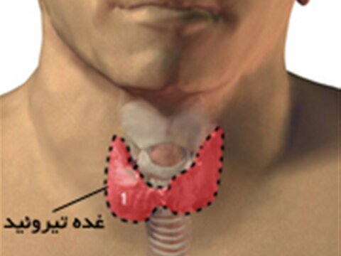 کم کاری تیروئید و ورزش - چهار محال وبختیاری