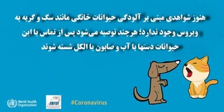 اطلاعات عمومی کرونایی