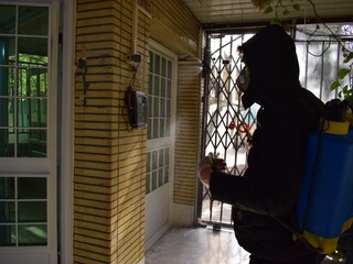 /گزارش تصویری/