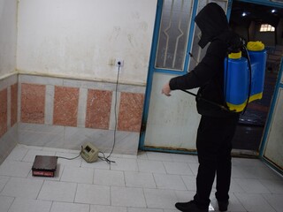 /گزارش تصویری/