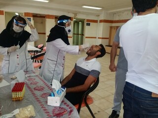 تست PCR گل و ریحان استان البرز