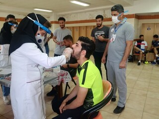 تست PCR گل و ریحان استان البرز