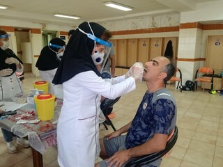 تست PCR گل و ریحان استان البرز