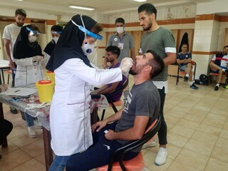 تست PCR گل و ریحان استان البرز