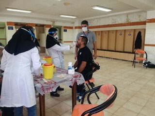 تست PCR گل و ریحان استان البرز