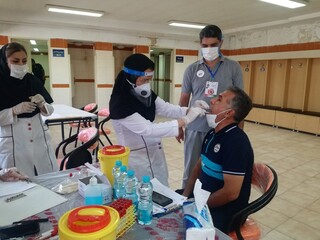 تست PCR گل و ریحان استان البرز