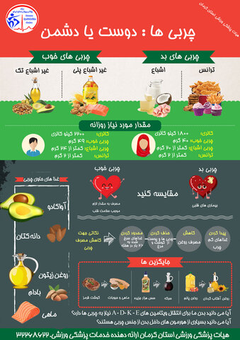چربی ها: دوست یا دشمن