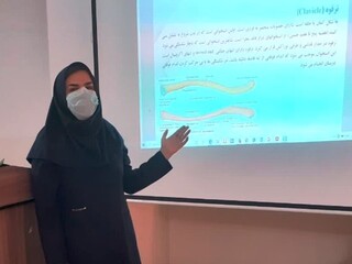 گزارش تصویری