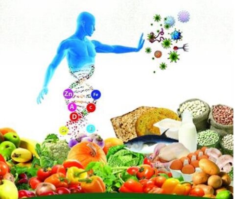 تغذیه کهگیلویه