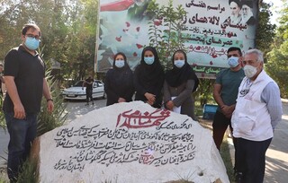 غبارروبی