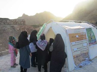 گزارش تصویری