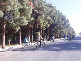 گزارش تصویری