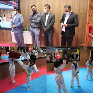 بارزسی از باشگاه های ورزشی شهرستان یزد