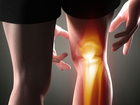 همایش علمی آسیب شناسی ورزشی - چهار محال وبختیاری