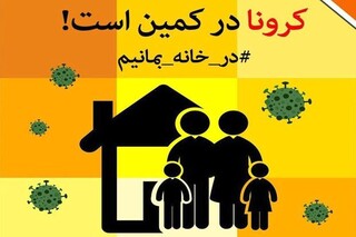 کوید