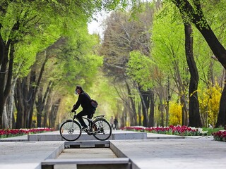 ورزش در بهار