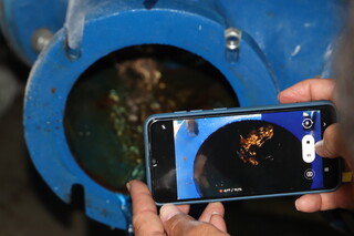 بازدید مسوول کمیته نظارت هیات پزشکی ورزشی فارس به همراه رییس اداره ورزش و جوانان شهرستان شیراز و رییس هیات نجات غریق فارس از استخر کوثر شیراز