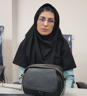 کارگاه آموزشی نرم افزار جامع خدمات درمانی-استان کرمان