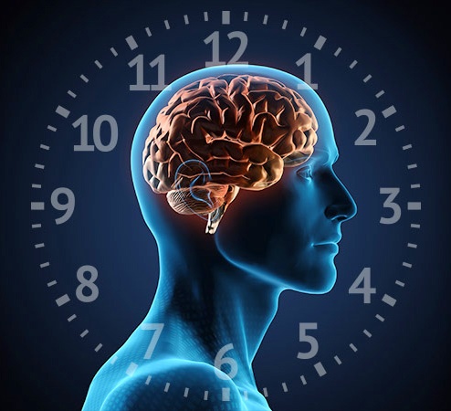 ساعت بدن، ریتم های شبانه روزی و فعالیت ورزشی