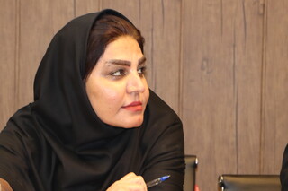 نشست تخصصی ثبت اسناد پزشکی با حضور اعضای کمیته خدمات درمانی هیات های پزشکی ورزشی فارس،بوشهروکهگیلویه وبویراحمد