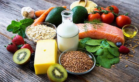 مبانی تغذیه