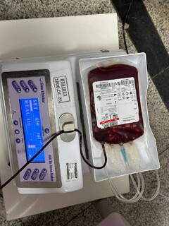 گزارش تصویری