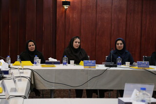 گردهمایی سراسری نواب رئیس بانوان پزشکی ورزشی