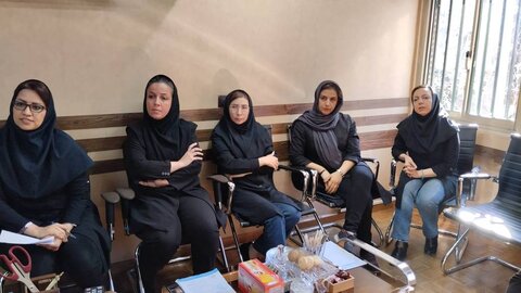 بررسی عملکرد و آسیب شناسی عملکرد کمیته های تخصصی هیات